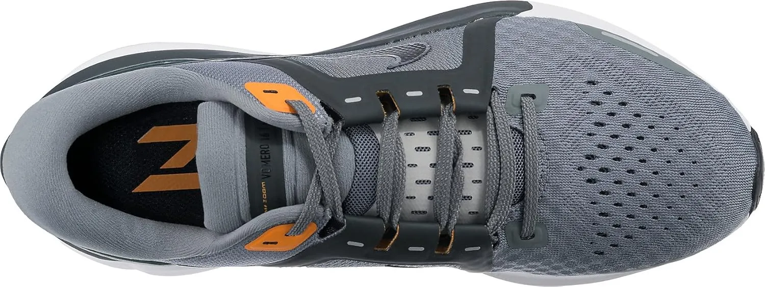 Nike Men's Low-top Running Shoe