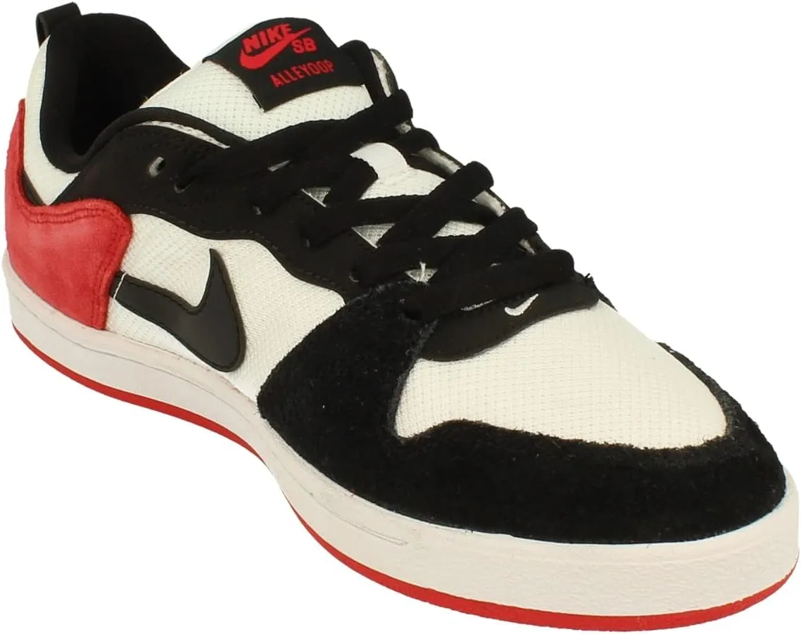 Nike Men's Running Walking Shoe